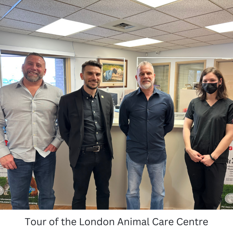 Tour of the London Animal Care Centre